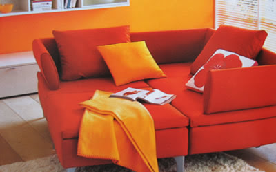 decorandoconnaraja-5