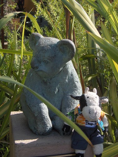 The Tomb of the Unknown Koala