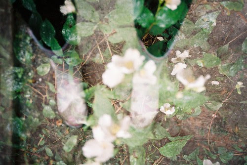 Multiple Exposure of Wellies and Flowers