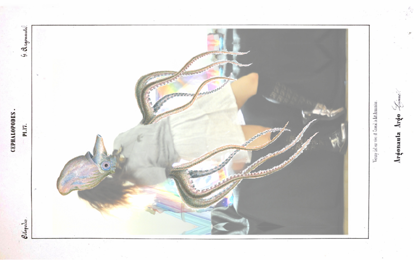 photo weirdoctothing_zps8fa82237.png