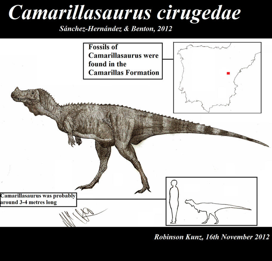 Camarillasaurus cirugedae by Teratophoneus