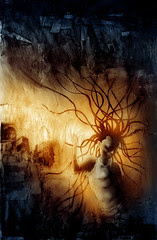 0photo241