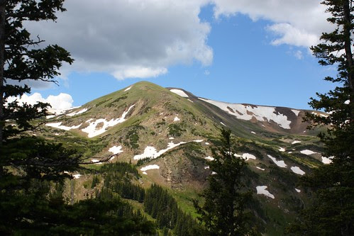 View from Fall River Road
