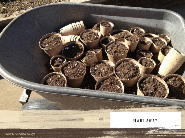 prepping your soil for food gardening