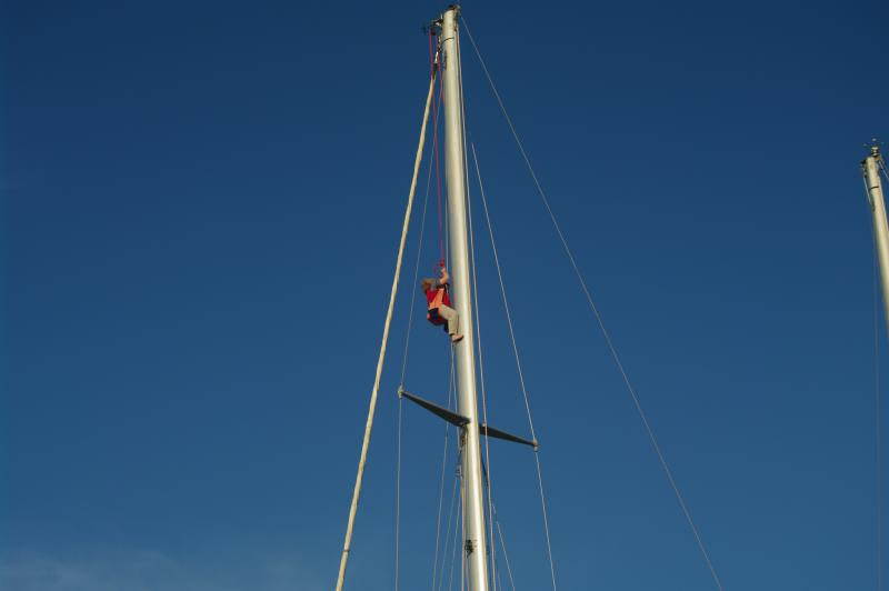 Wild Tigris - Anne up the mast