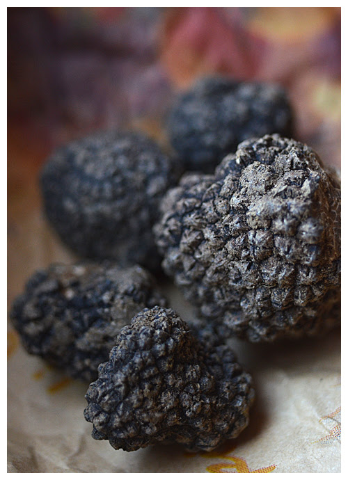 black truffles© by Haalo