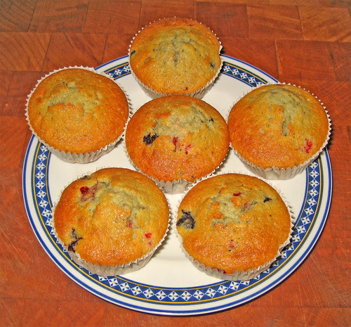 cupcakes con frutti di bosco by fugzu