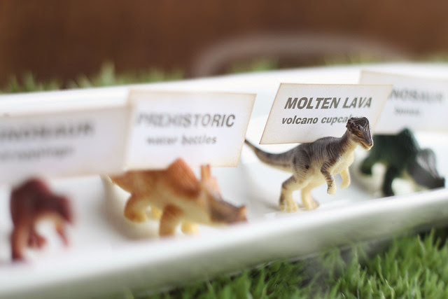 dinosaur party decorations