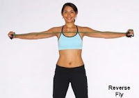 Reverse Fly with only a resistance band