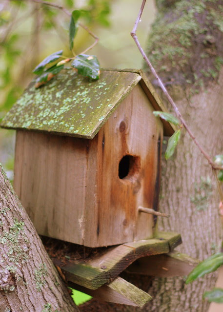 Birds Nesting Here