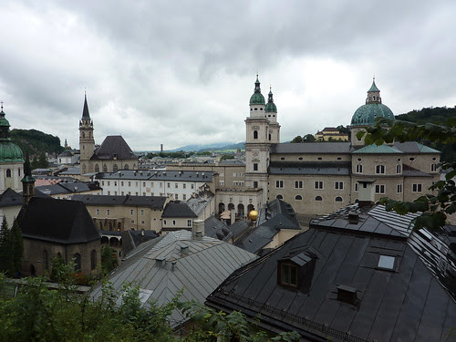 P1030363_bis