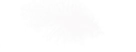 перышки 1 (273x105, 18Kb)