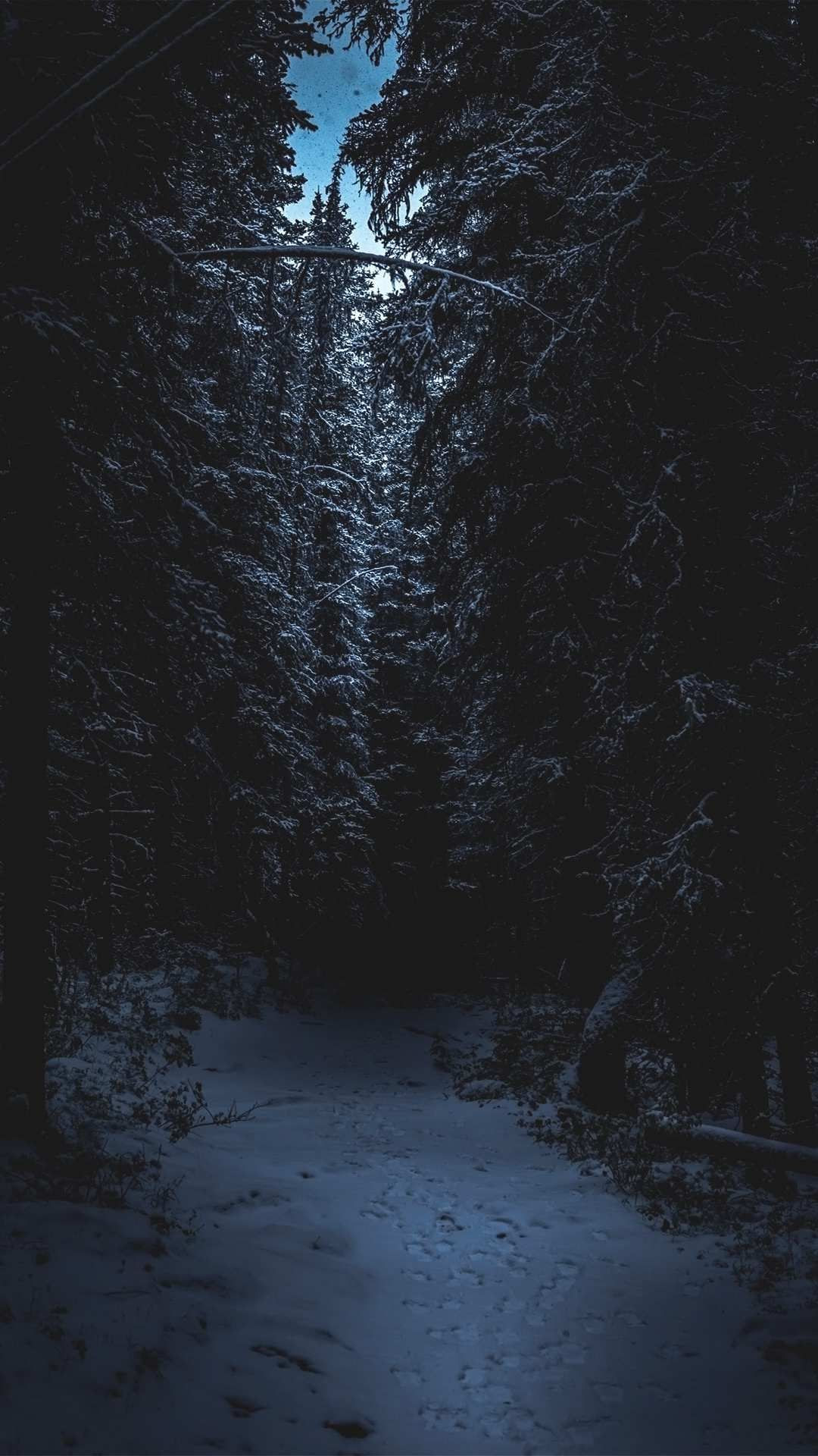 Dark Forest Wallpaper Iphone Free dark wood wallpapers wide for your sxga 16:10 720p standard smartwatch hd other desktop dual 5:4 mobile widescreen 4:3 samsung 900p 5:3 vga iphone 1080p mobile hvga hd 3:2 dvga ipod psp android definition wga 16:9 high s8 smartphone mac wvga wide fullscreen ipad. dark forest wallpaper iphone