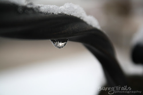 frozen drop