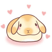 あなたのためのイラスト 綺麗な可愛い ロップ イヤー イラスト