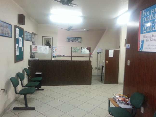 Avaliações sobre Veterinária Dr. Giovani em Porto Alegre - Veterinário