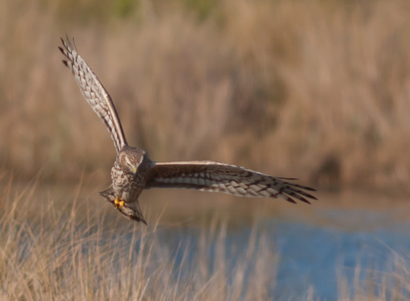 Photo & Video Sharing by SmugMug Photo & Video Sharing by SmugMug