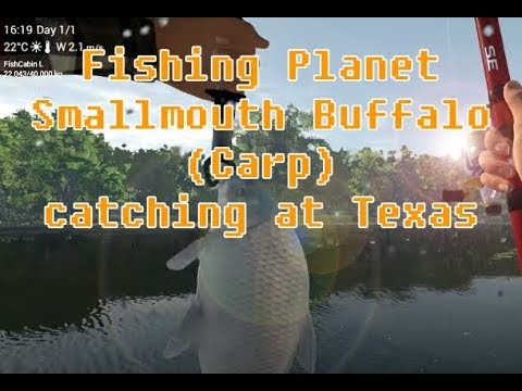 Fishing Planet - Smallmouth Buffalo (Carp) catching at Texas #fishingpla...
