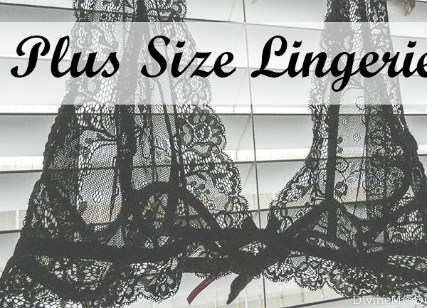 Plus Size Lingerie: Where I Find It + Hips and Curves and Lane Bryant Review
