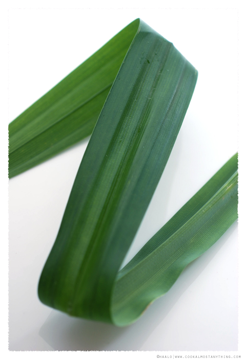 pandan leaf© by Haalo