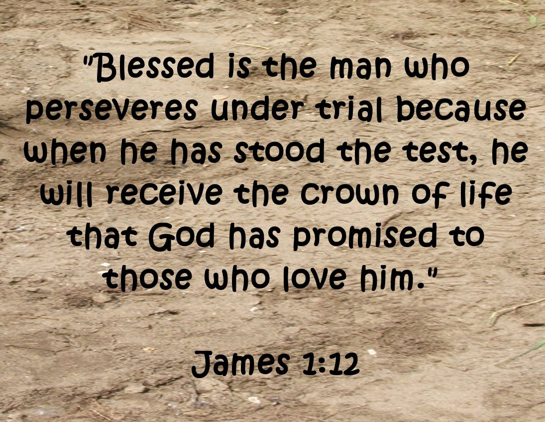by Angie Ouellette-Tower for http://www.godsgrowinggarden.com/ photo SundayPersevere_zpsytmfnh4d.jpg