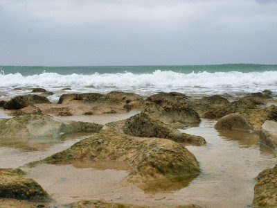 200605028-vs-0676