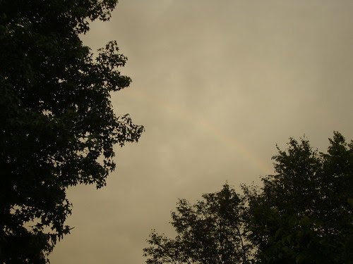 rainbow 6/23/13