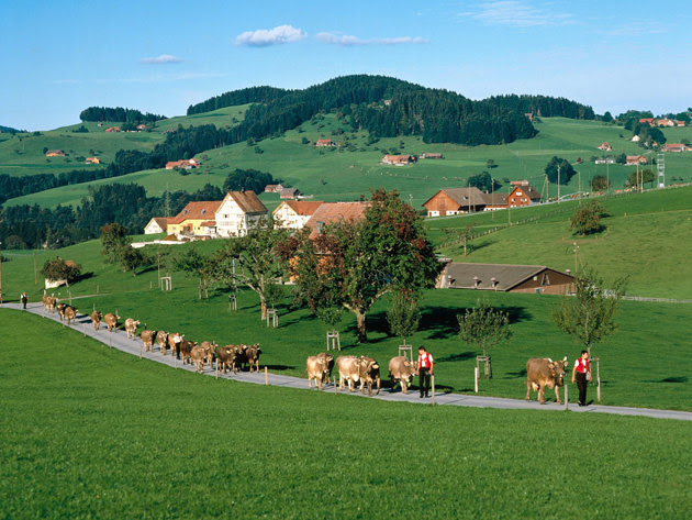30 Photos de la Suisse