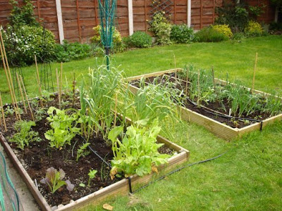 Raised beds in Sale in May 2006