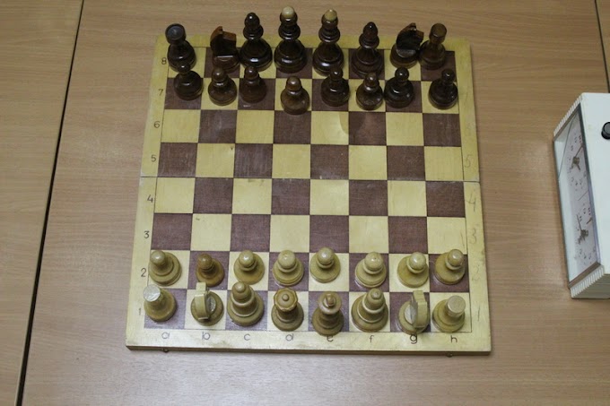 Юные рязанские шахматисты отличились на первенстве ЦФО