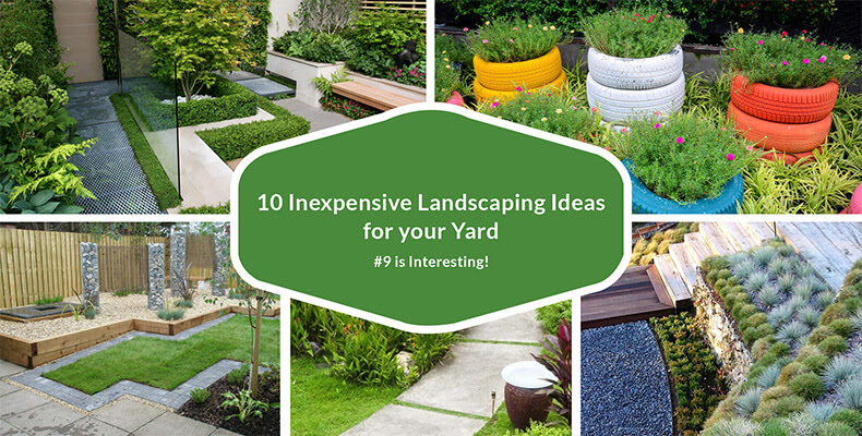 10 Inexpensive Landscaping Ideas For Your Yard Green Gold