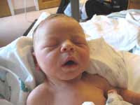 Baby Lex