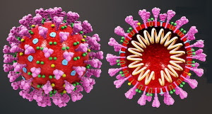 Ett vackert med bedrägligt virus