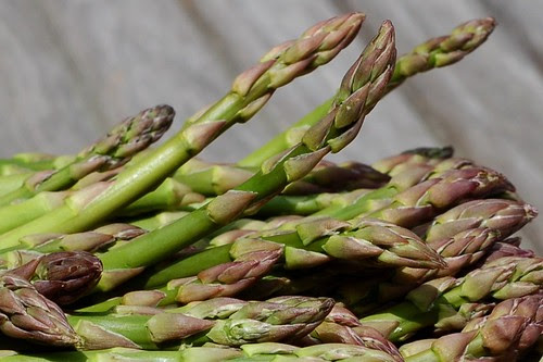 Fresh, organic, local asparagus by Eve Fox, Garden of Eating blog