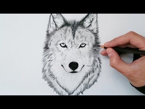 Featured image of post Como Dibujar Un Perro Realista A la hora de dibujar retratos es muy importante saber representar un ojo de forma realista