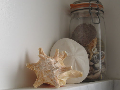 Shells above the Shower