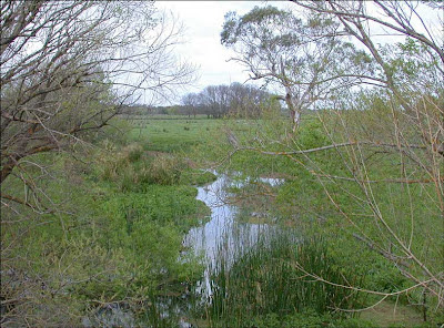 Darlot Creek Ovtober 2005