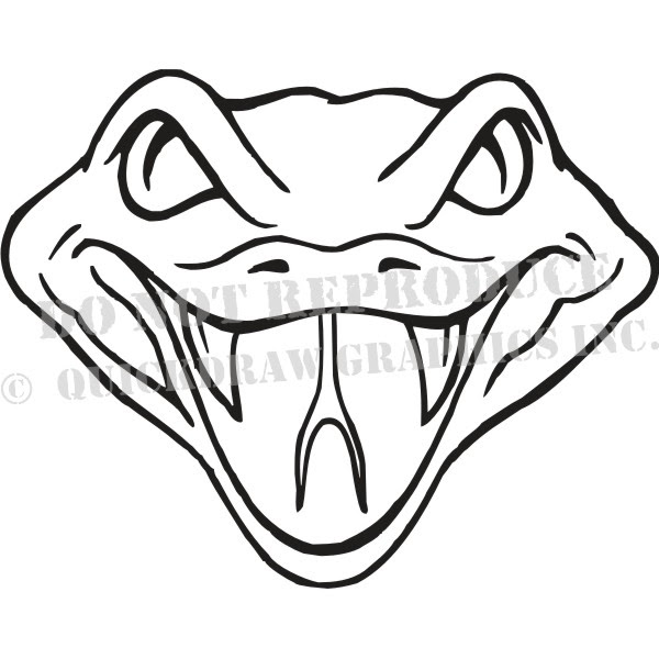 Featured image of post How To Draw A Snake Face It looks like a horizontal oval shape with some the tip of the tail is very simple and you ll be done with it in a jiffy