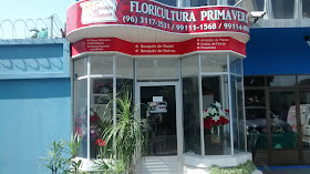 Floricultura Primavera