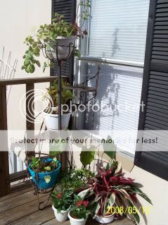 plant stand 05/08