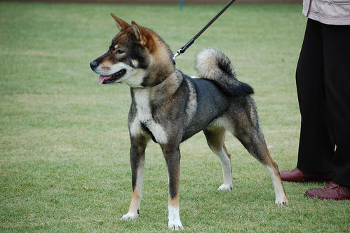 Maki 2