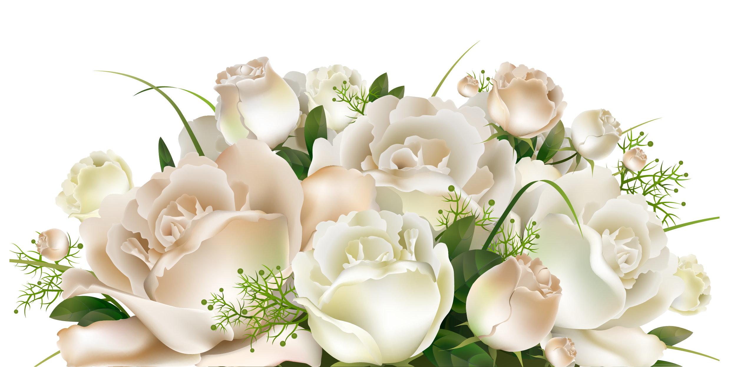 Image result for white rose border clip art