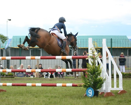 Showjumping