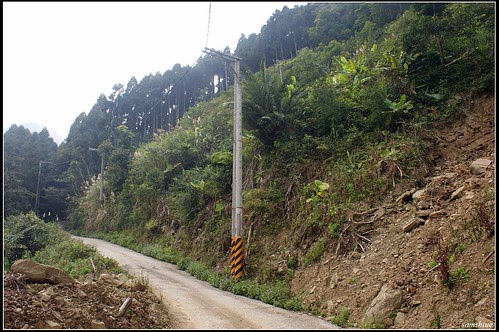 DSC04202