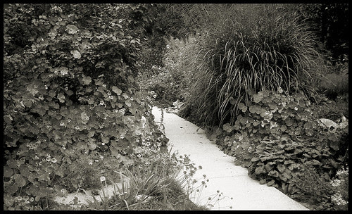 secret garden