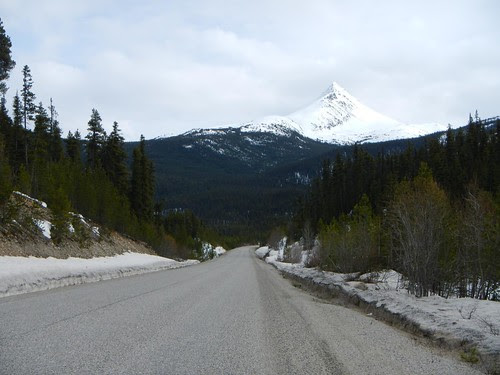 Everyday for 7 Weeks - Day 21 - Whitehorse to Dease Lake
