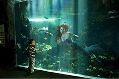 Ariel by Dina Goldstein