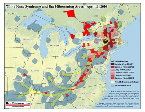 White-Nose Syndrome and Bat Hibernation Areas - April 19, 2010