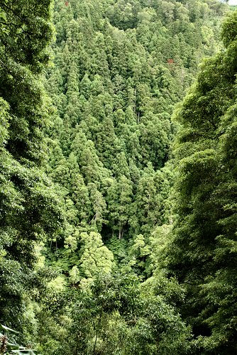 20090613-vs-0331
