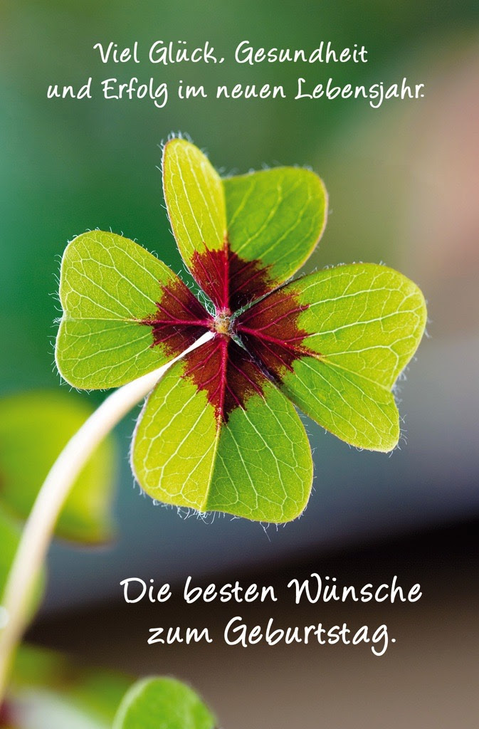Wünsche Geburtstag Gesundheit Nayyer Gadhi